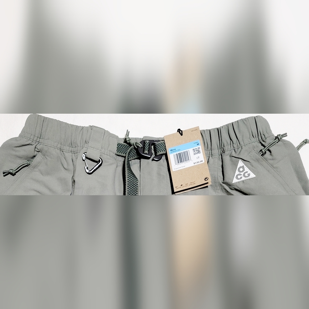 Nike ACG Cargo Shorts "Snowgrass" Dark Stucco Sz M NWT - Picture 4 of 7